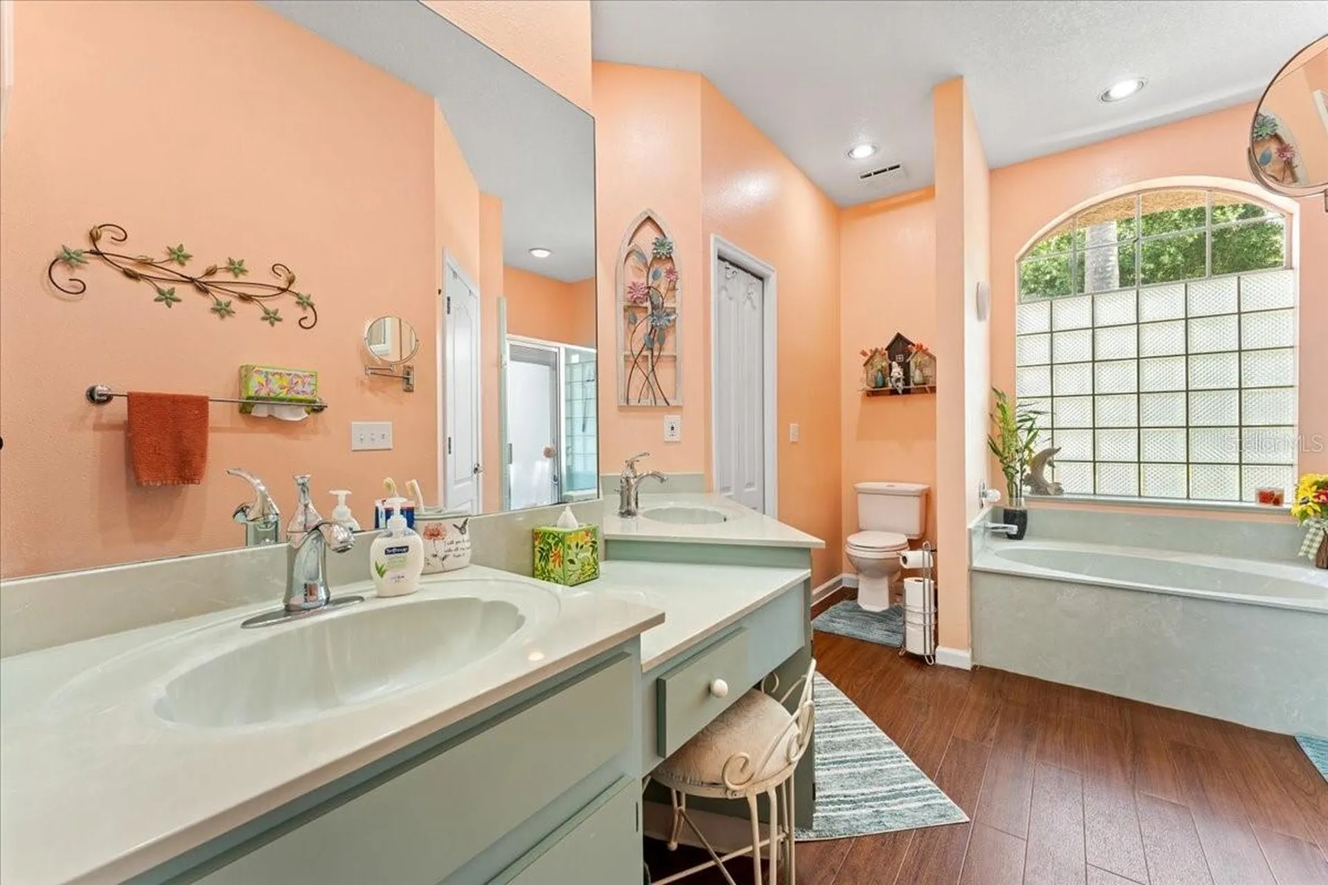 22804 Willow Lakes Drive Lutz FL 33549