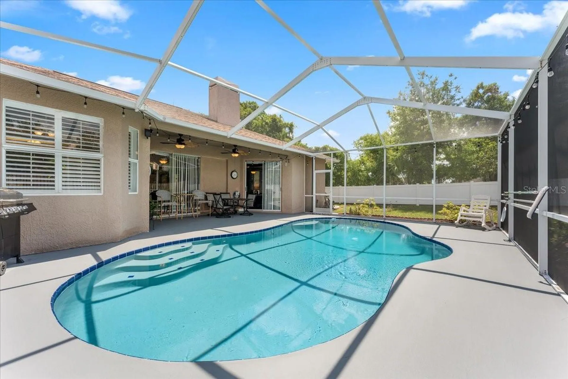 22804 Willow Lakes Drive Lutz FL 33549