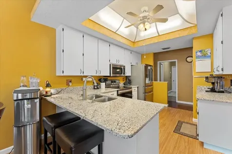 22804 Willow Lakes Drive Lutz FL 33549