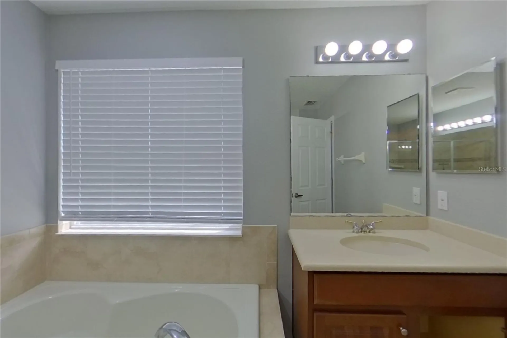 30136 Jutland Court Mount Dora FL 32757