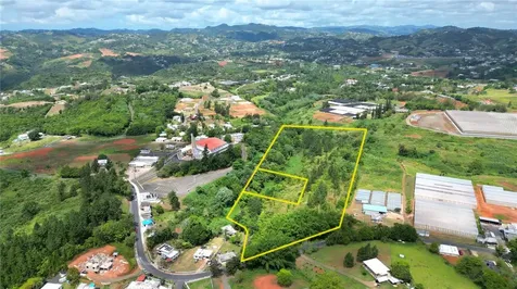 779 St. Quebradillas Barranquitas PR 00794