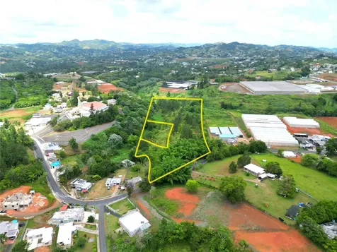 779 St. Quebradillas Barranquitas PR 00794