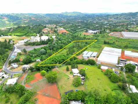 779 St. Quebradillas Barranquitas PR 00794