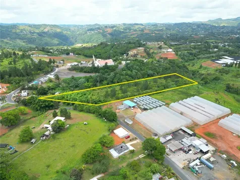 779 St. Quebradillas Barranquitas PR 00794