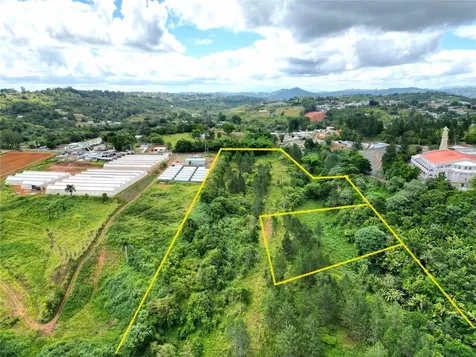 779 St. Quebradillas Barranquitas PR 00794