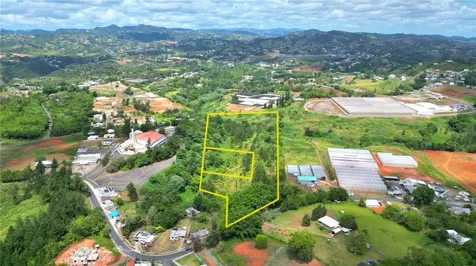 779 St. Quebradillas Barranquitas PR 00794
