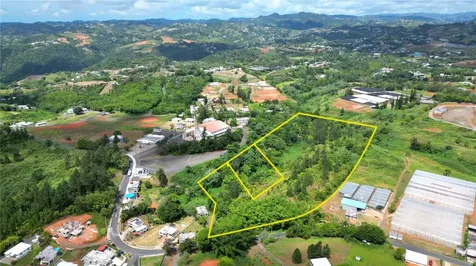 779 St. Quebradillas Barranquitas PR 00794