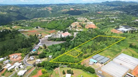 779 St. Quebradillas Barranquitas PR 00794