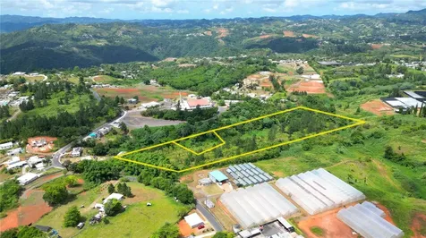 779 St. Quebradillas Barranquitas PR 00794