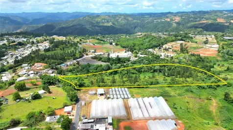 779 St. Quebradillas Barranquitas PR 00794