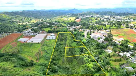 779 St. Quebradillas Barranquitas PR 00794