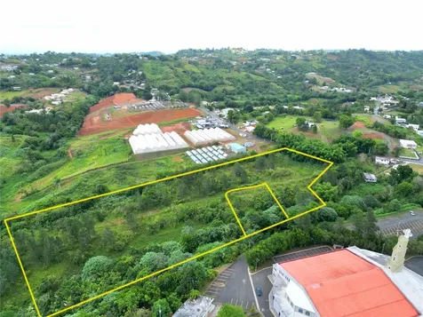 779 St. Quebradillas Barranquitas PR 00794