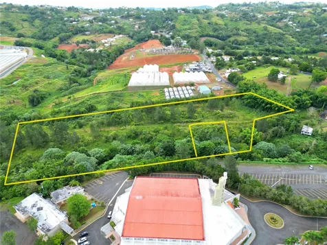 779 St. Quebradillas Barranquitas PR 00794