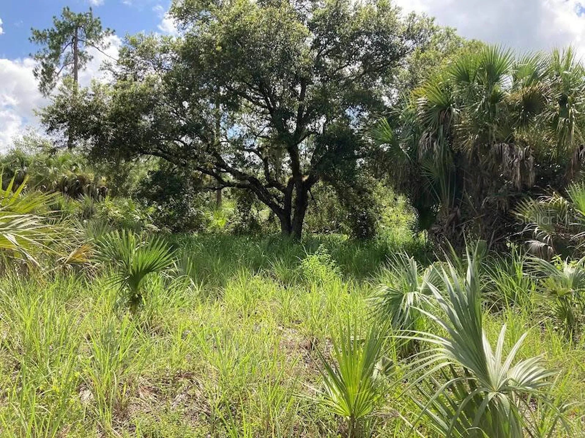 4421 24th Avenue SE Naples FL 34117