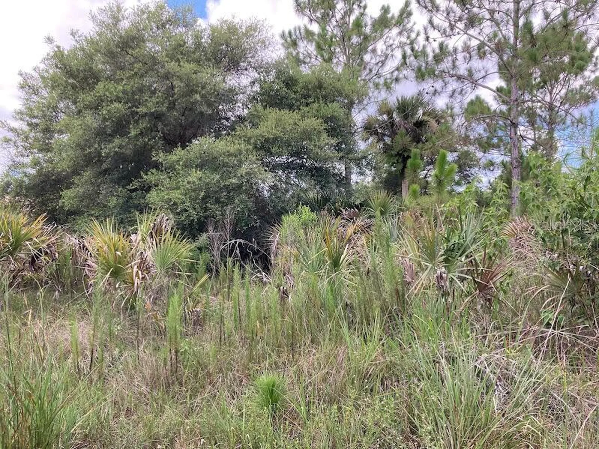 4421 24th Avenue SE Naples FL 34117