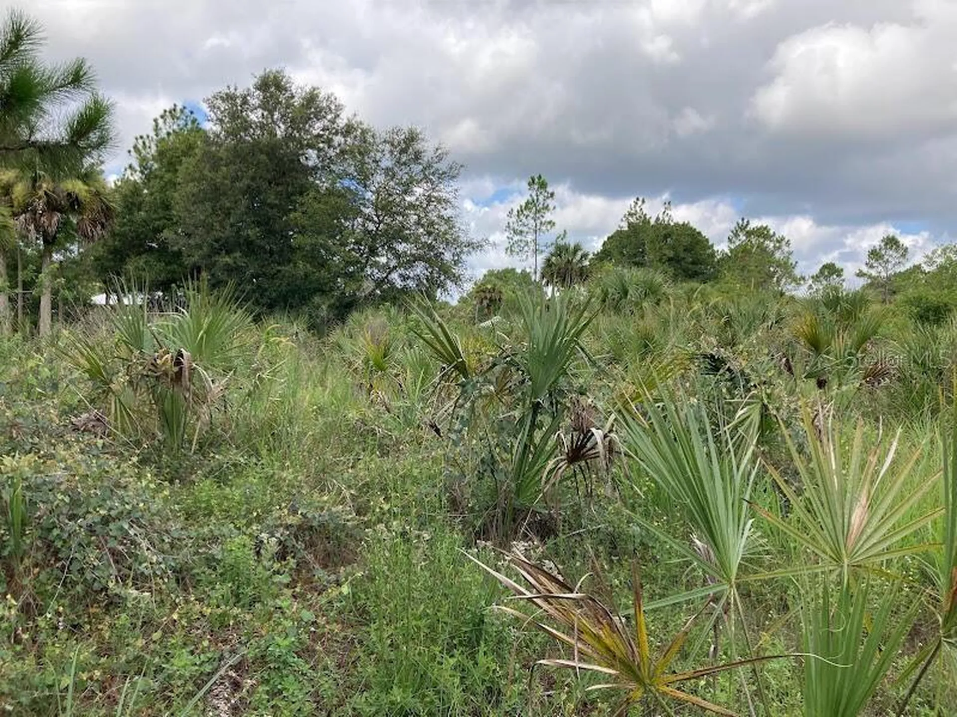 4421 24th Avenue SE Naples FL 34117