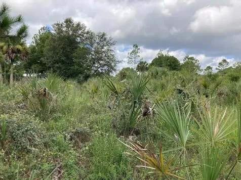 4421 24th Avenue SE Naples FL 34117