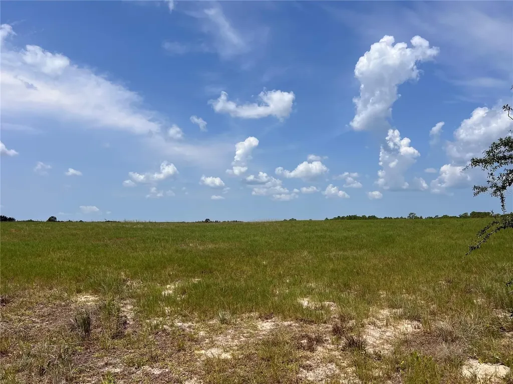 5990 W Oakhill Street Dunnellon FL 34433