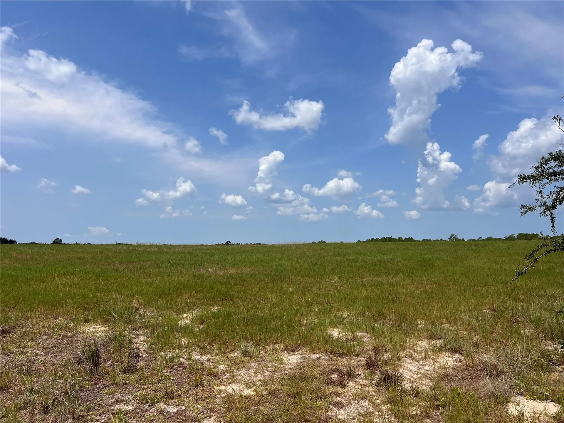 5990 W Oakhill Street Dunnellon FL 34433