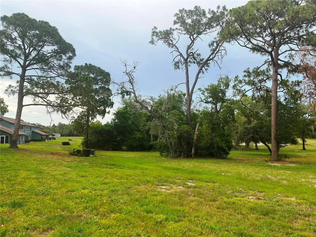 7686 St Andrews Boulevard Weeki Wachee FL 34613