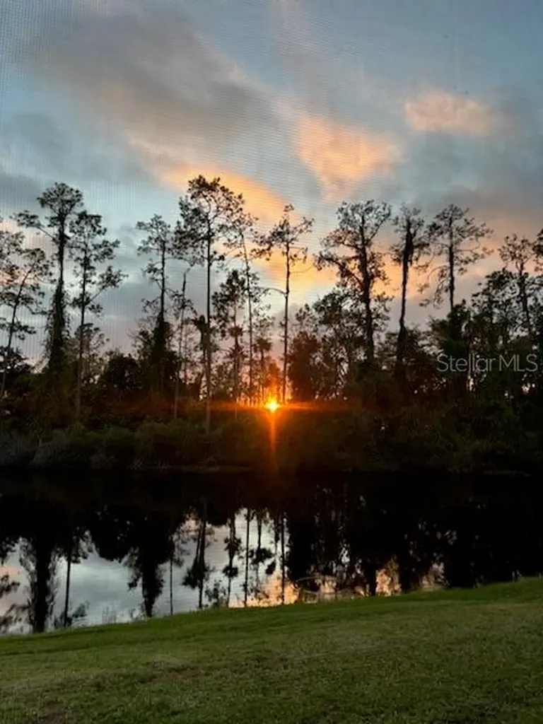 3332 Chapel Creek Circle Wesley Chapel FL 33544