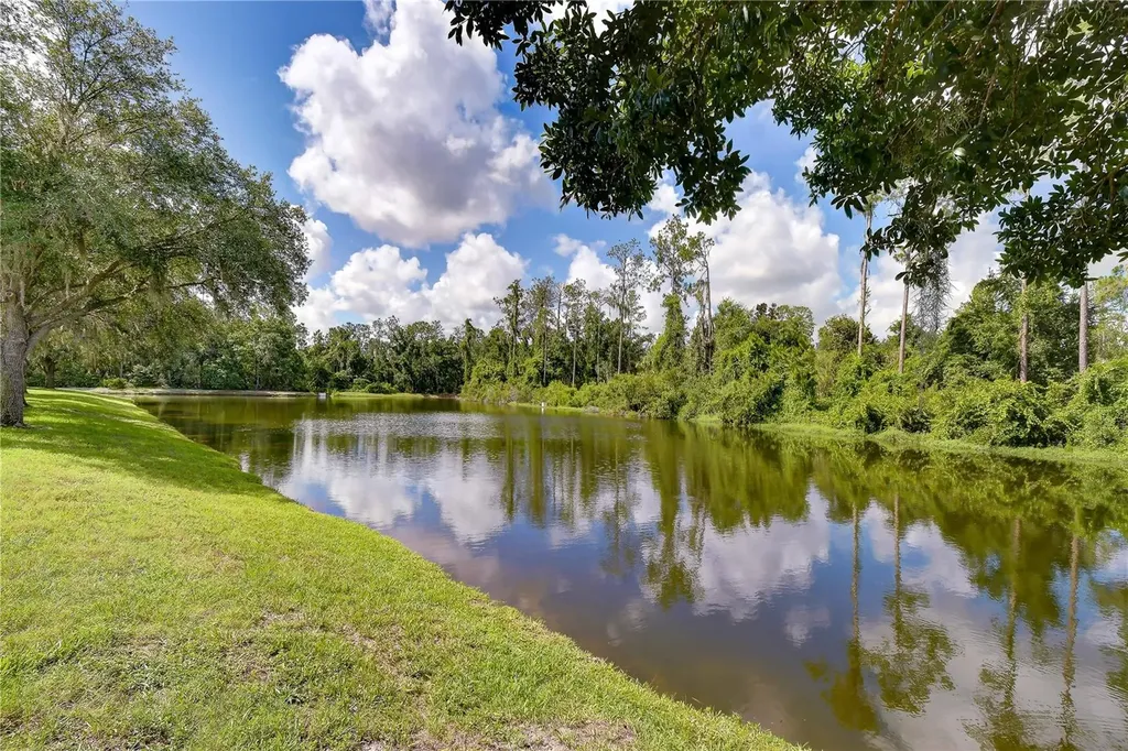 3332 Chapel Creek Circle Wesley Chapel FL 33544