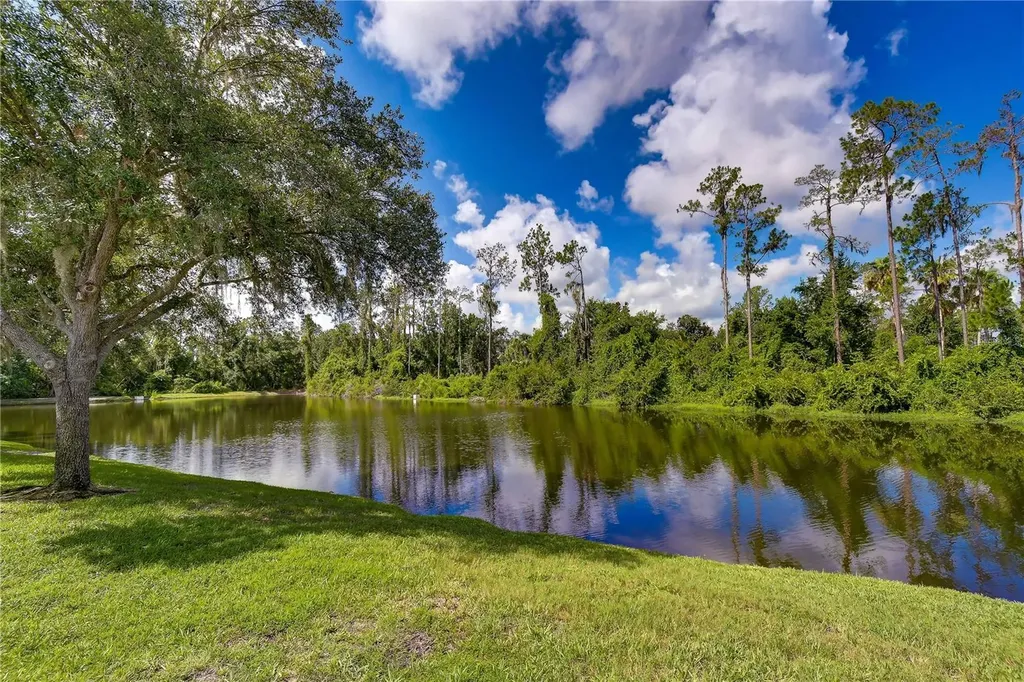 3332 Chapel Creek Circle Wesley Chapel FL 33544
