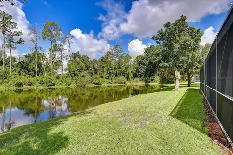 3332 Chapel Creek Circle Wesley Chapel FL 33544
