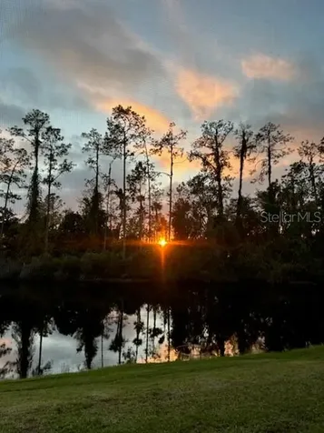 3332 Chapel Creek Circle Wesley Chapel FL 33544