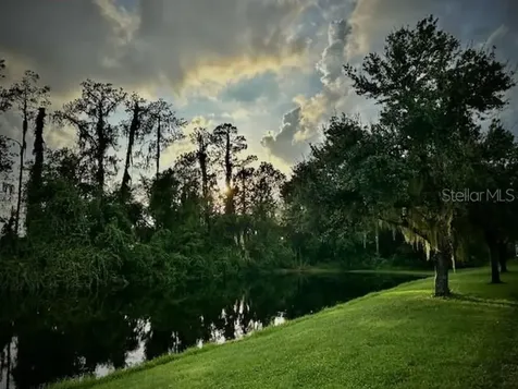 3332 Chapel Creek Circle Wesley Chapel FL 33544