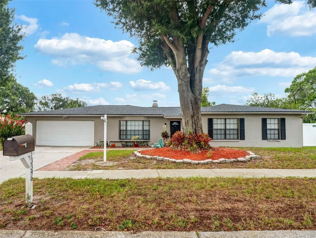 13346 Moran Drive Tampa FL 33618