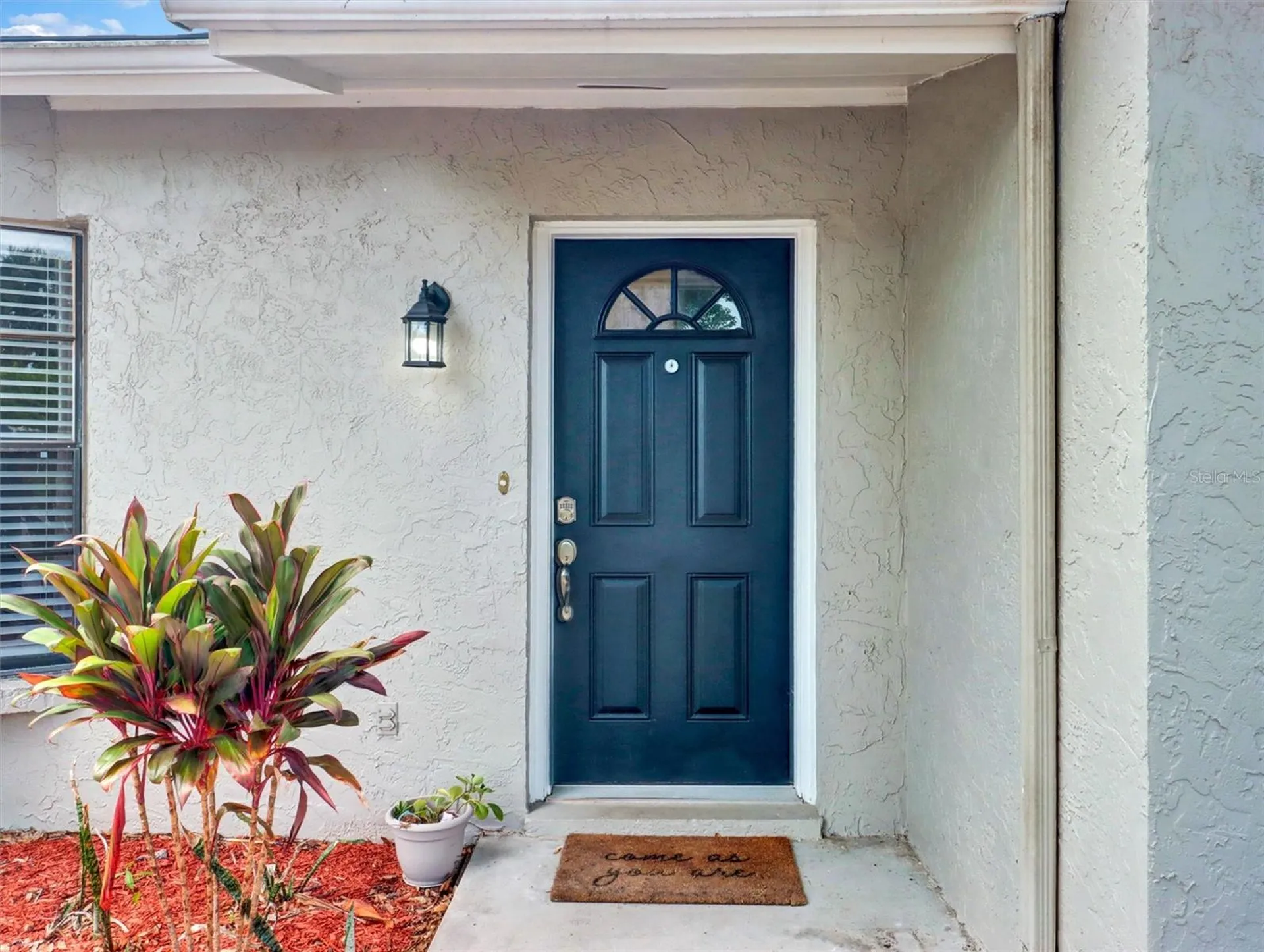 13346 Moran Drive Tampa FL 33618