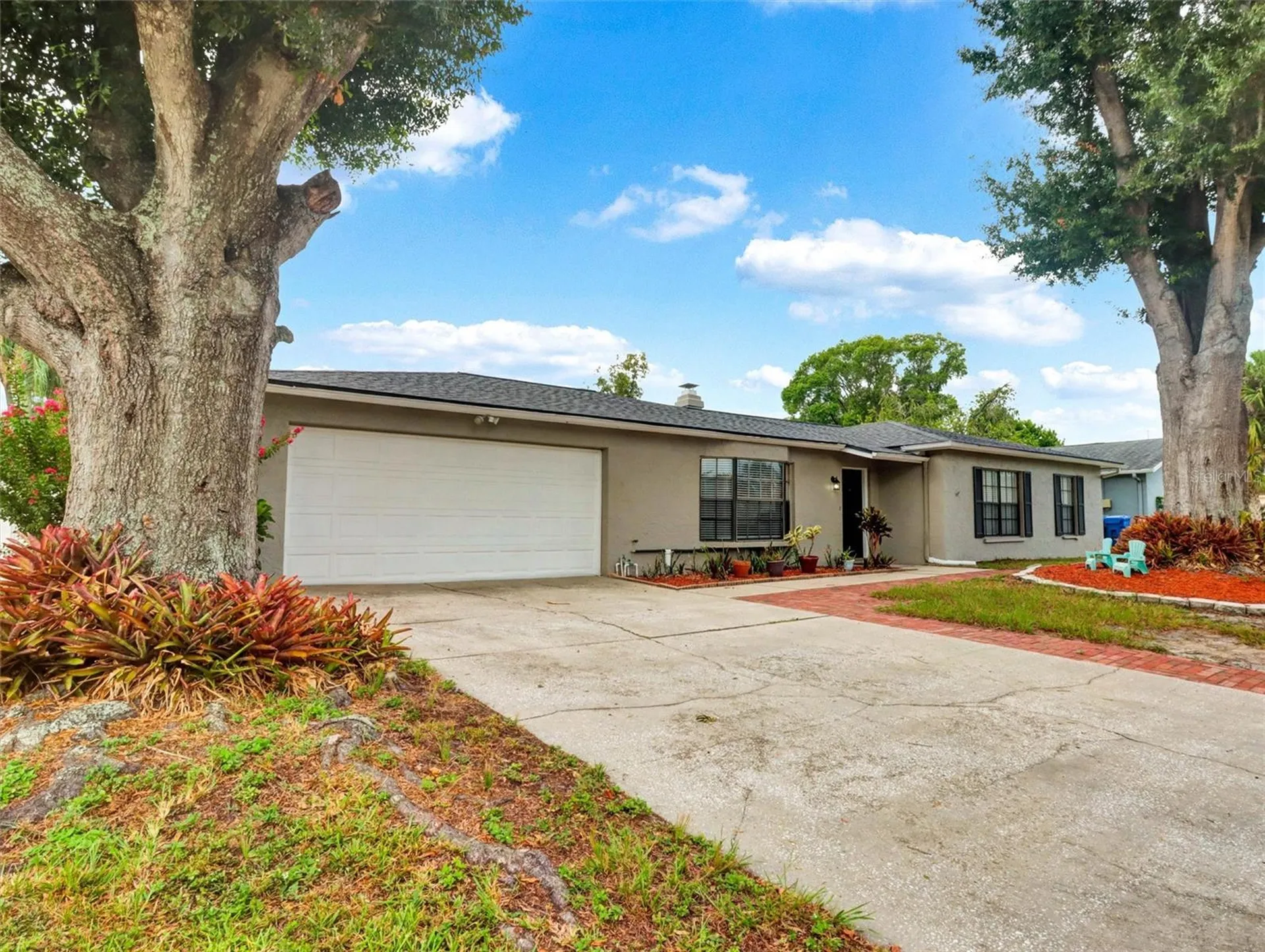 13346 Moran Drive Tampa FL 33618