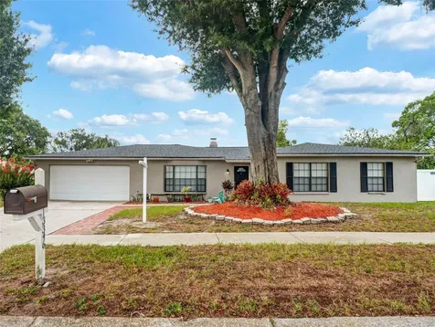 13346 Moran Drive Tampa FL 33618