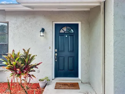 13346 Moran Drive Tampa FL 33618