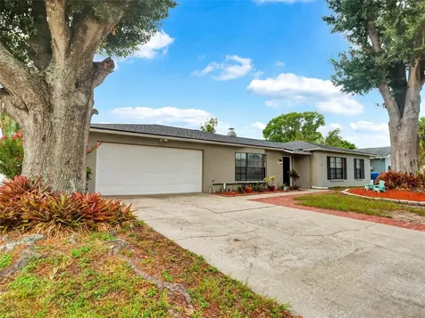 13346 Moran Drive Tampa FL 33618