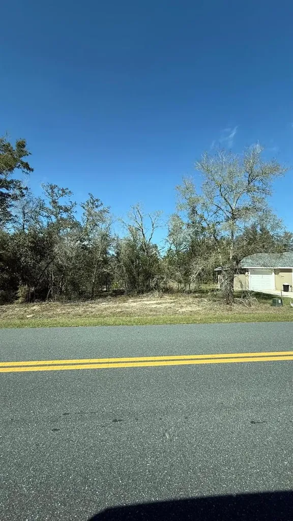 22767 SW Beach Boulevard Dunnellon FL 34431