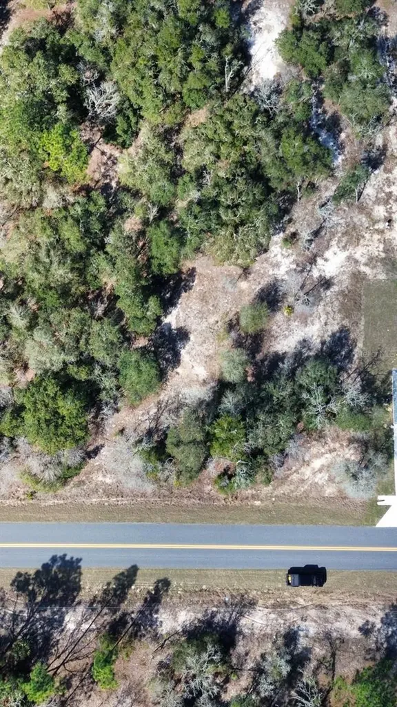 22767 SW Beach Boulevard Dunnellon FL 34431