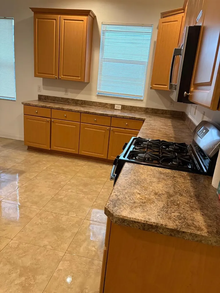 6345 Bridgecrest Drive Lithia FL 33547