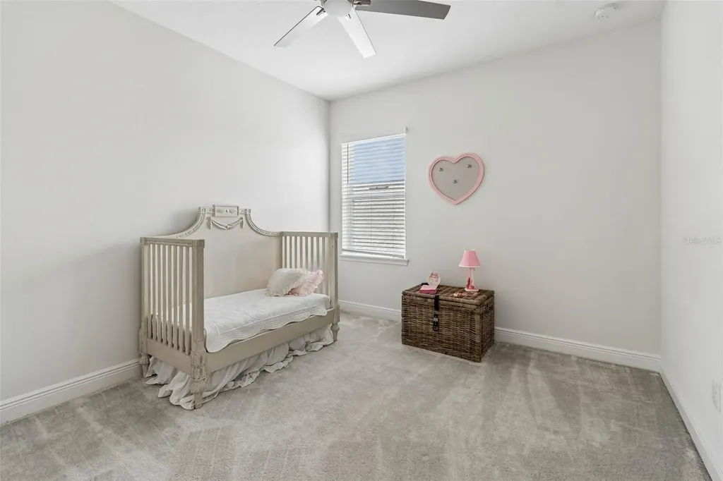28692 Cozy Creek Drive Wesley Chapel FL 33543