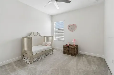 28692 Cozy Creek Drive Wesley Chapel FL 33543