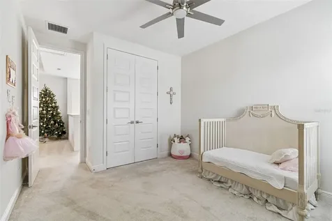 28692 Cozy Creek Drive Wesley Chapel FL 33543