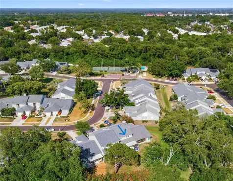302 Buckingham Place Palm Harbor FL 34684
