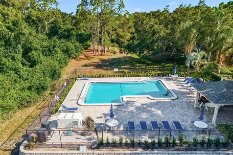 302 Buckingham Place Palm Harbor FL 34684