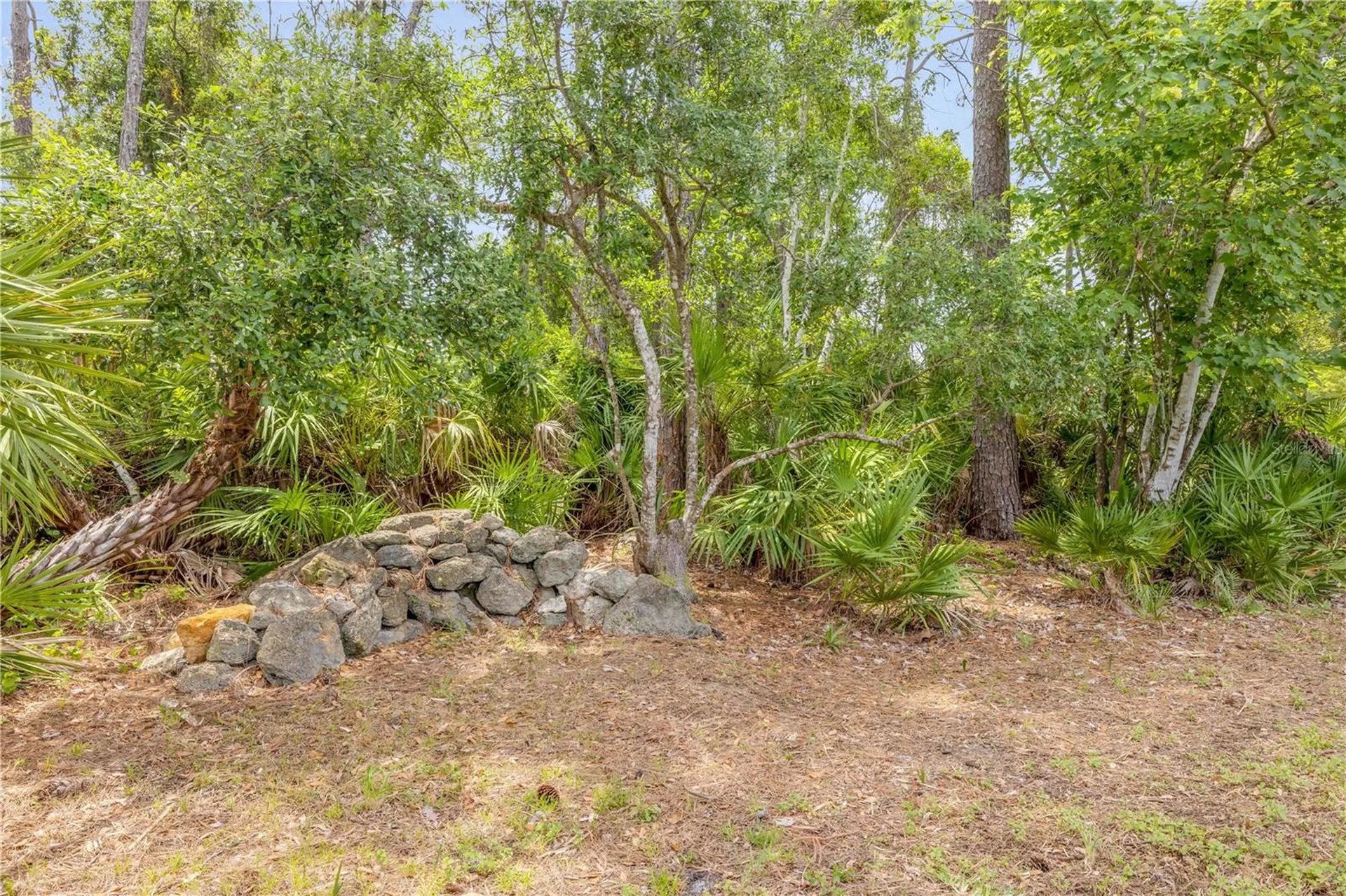 106 Pine Tree Drive Ormond Beach FL 32174