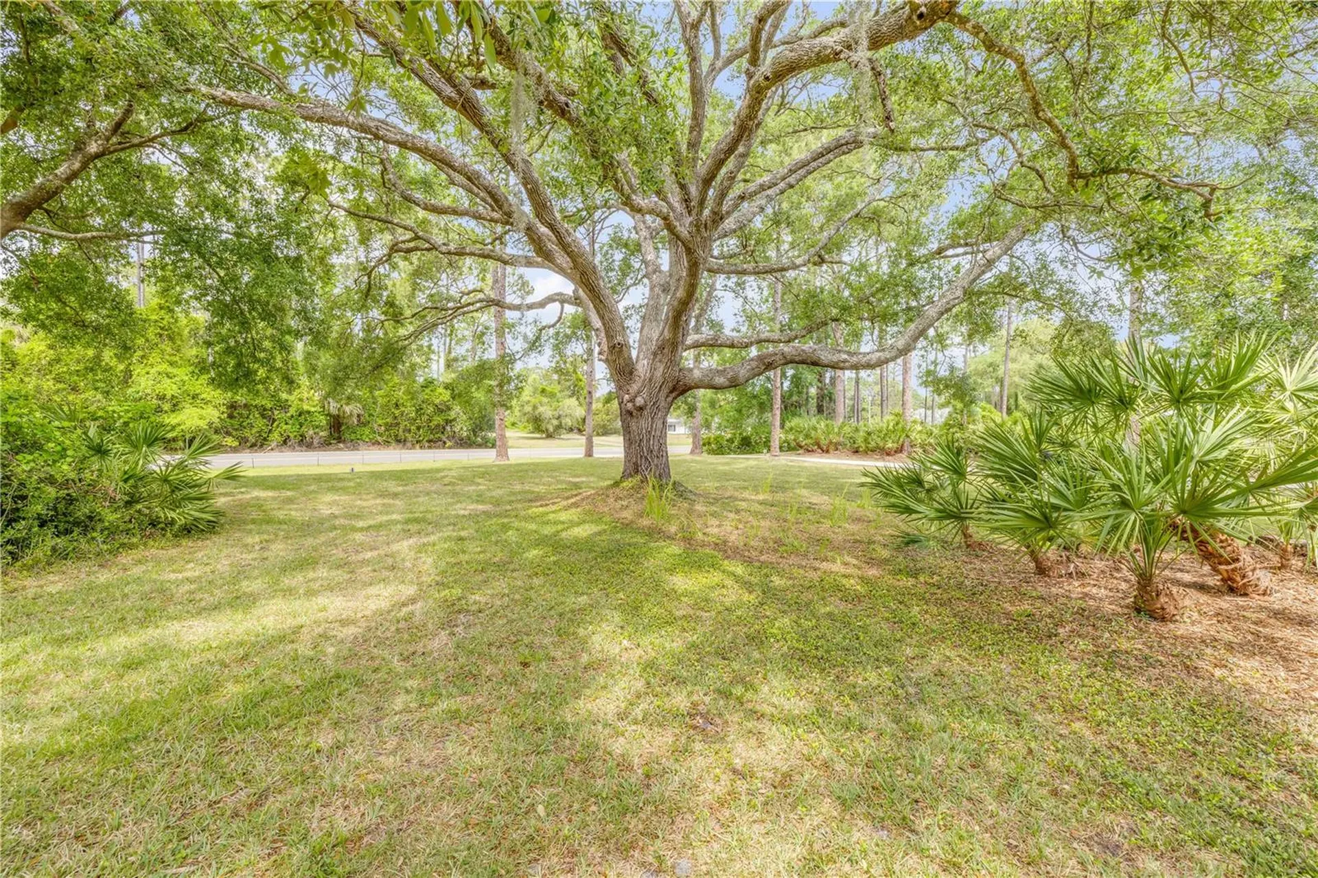 106 Pine Tree Drive Ormond Beach FL 32174