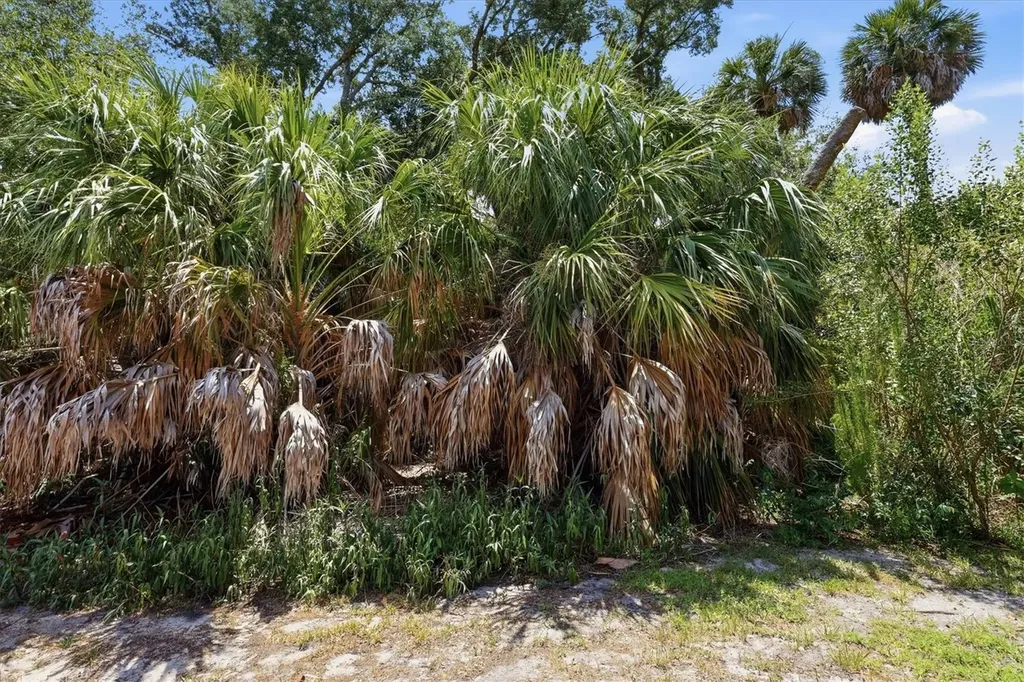 21238 Chattahoochee Avenue Venice FL 34293