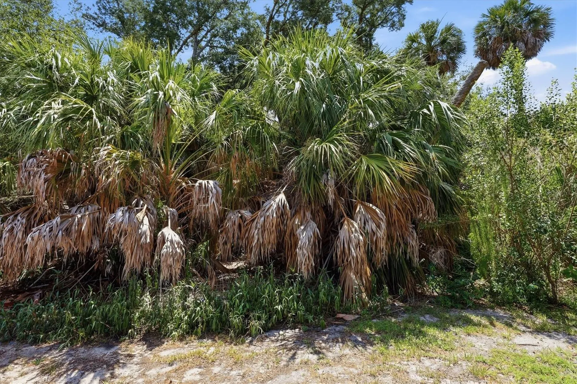 21238 Chattahoochee Avenue Venice FL 34293
