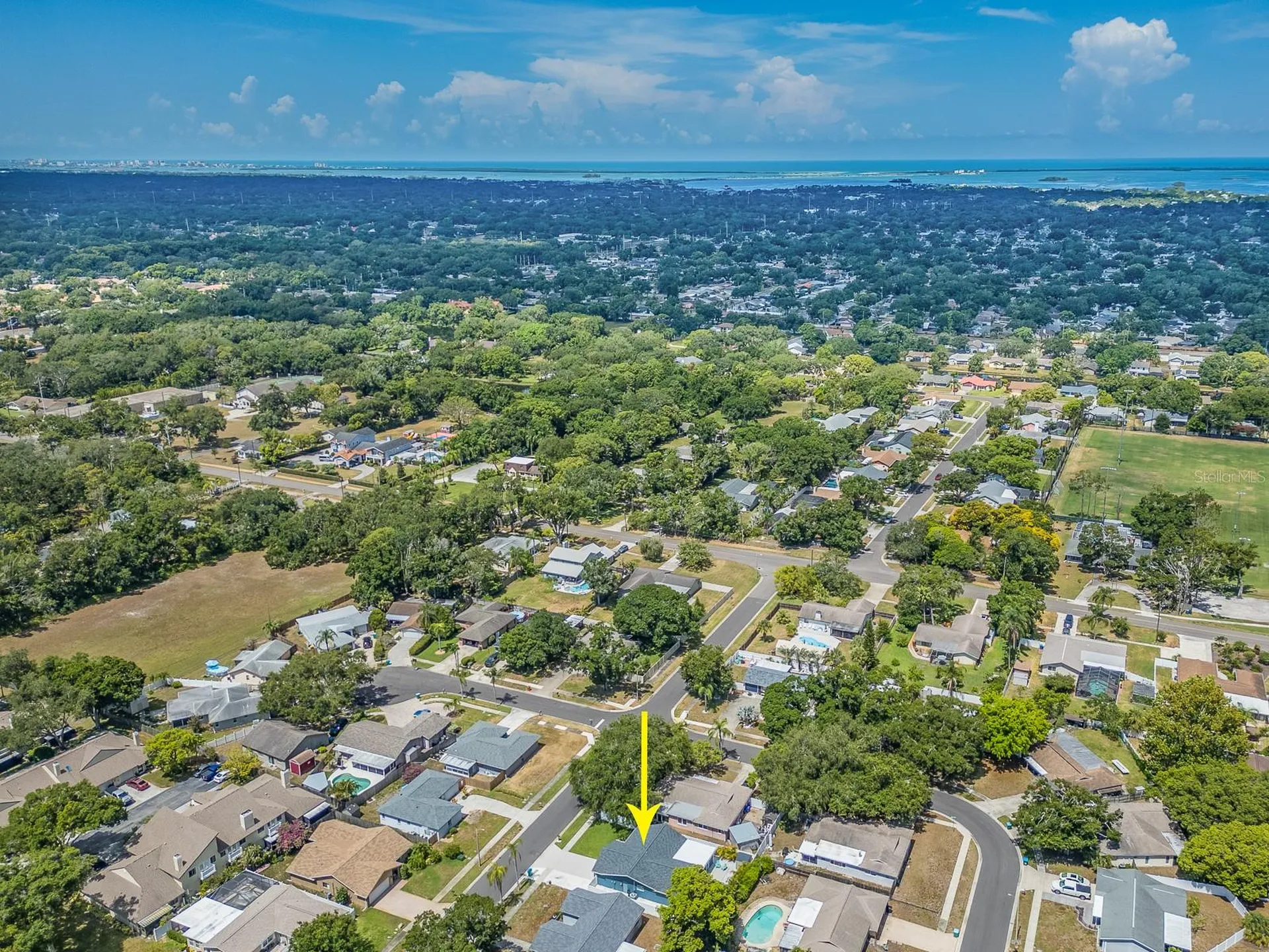 2321 Maben Avenue Palm Harbor FL 34683