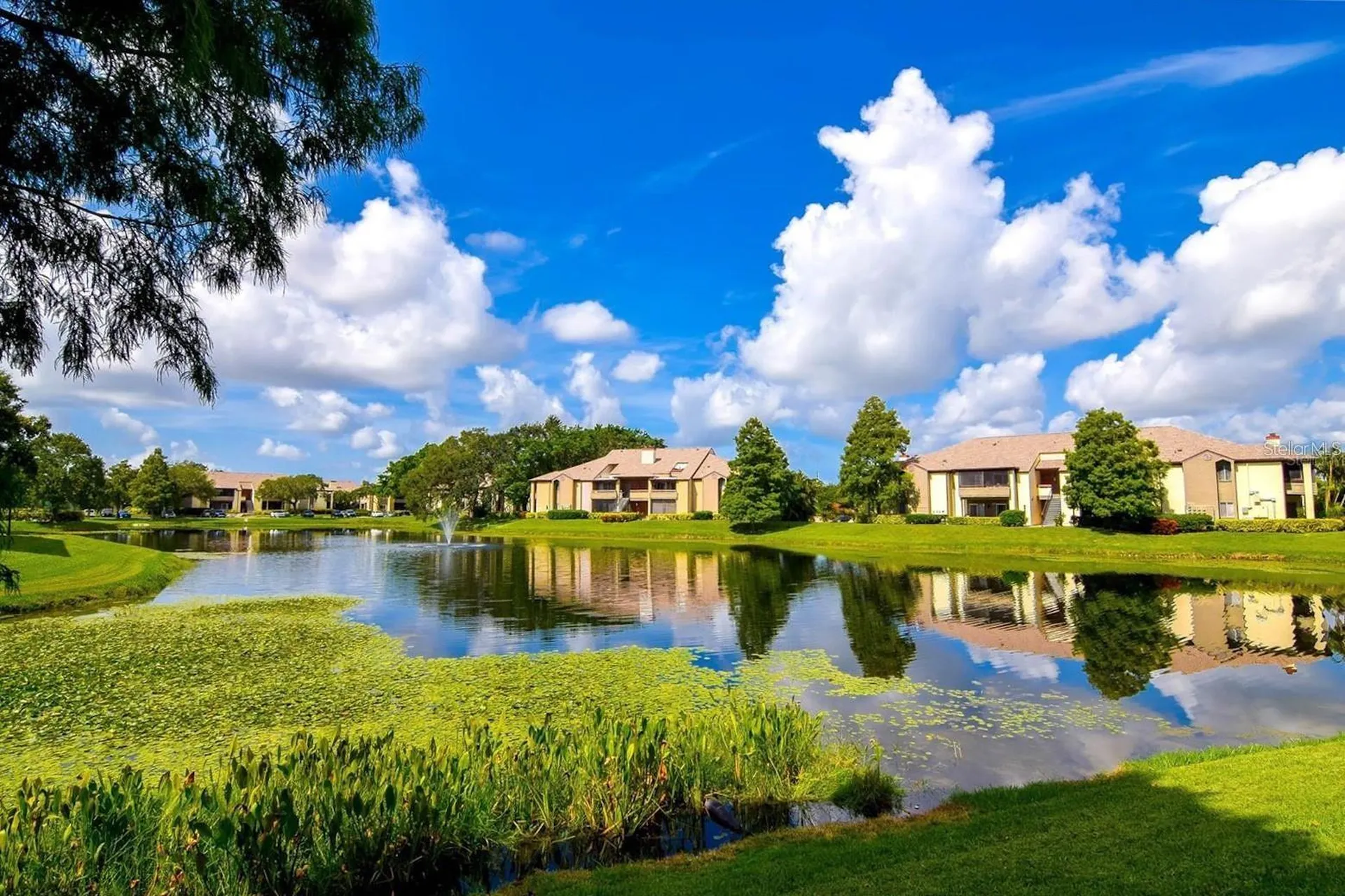 10265 Gandy Boulevard N St Petersburg FL 33702